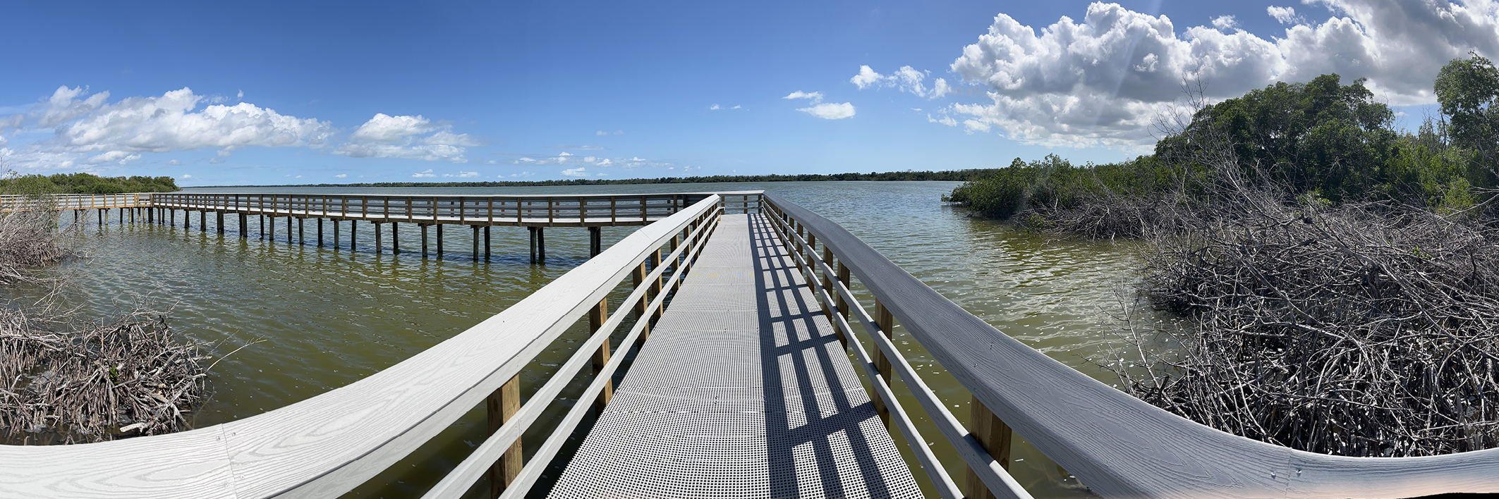 A newly build boardwalk at the Florida Everglades