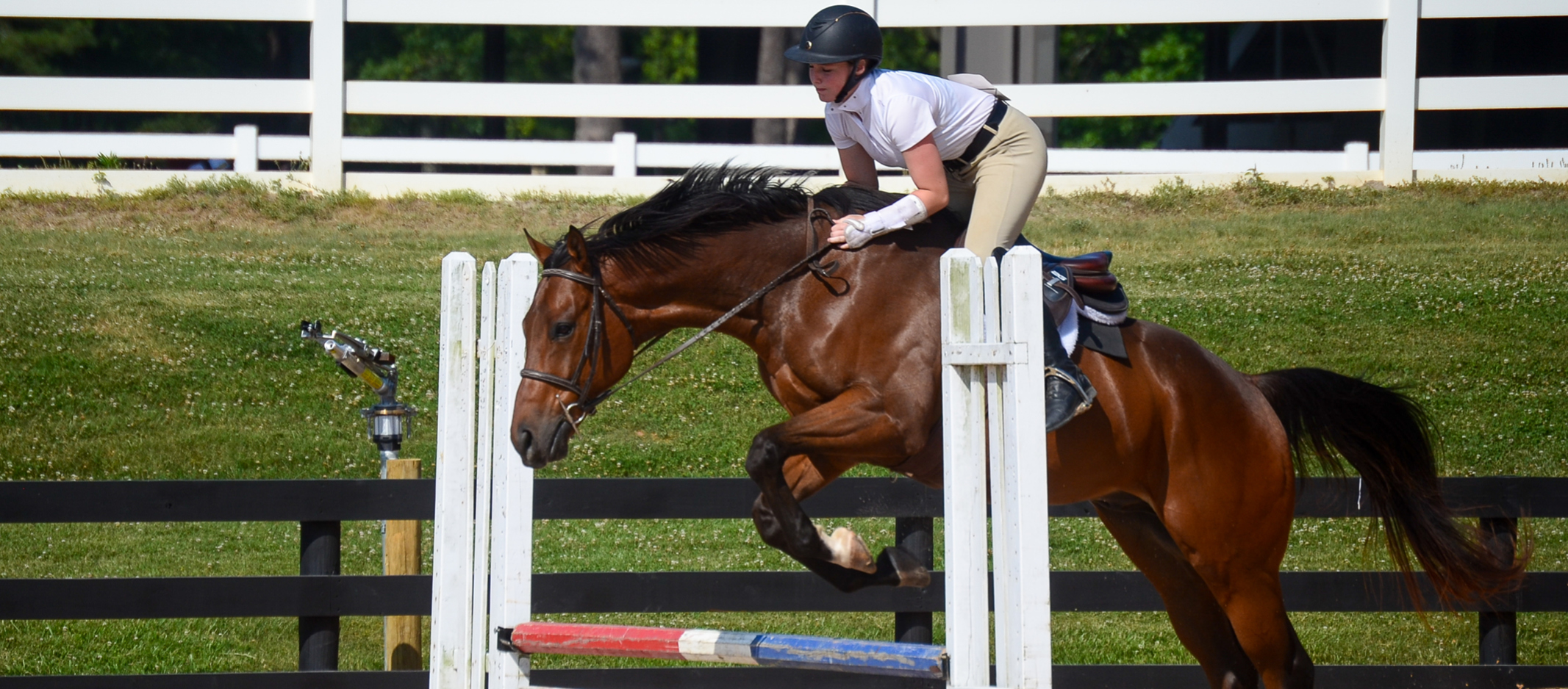 A horse and its rider jumping over an obstacle.