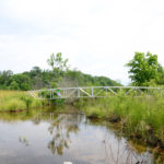 Resaca Battlefield bridge crossing a stream
