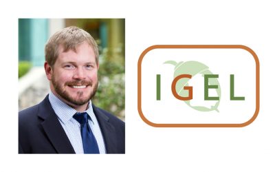 Stephen Bailey joins IGEL Board of Directors
