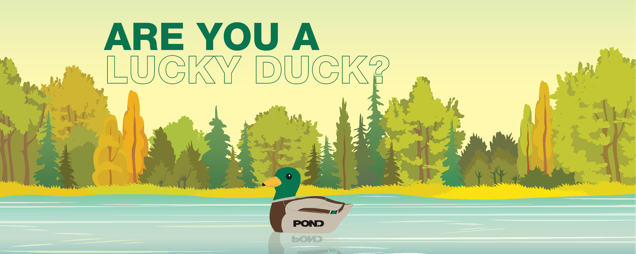 Lucky Duck Contest